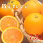 訳あり 清見オレンジ 混合 7.5Kg