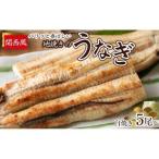 パリッと香ばしい関西風地焼きのうなぎ