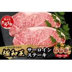 ふるさと納税 年内お届け【極 和王】 くまもと黒毛和牛 和王 サーロインステーキ 330g×2 計660g ブランド牛 最高級グレード 極み 上質 旨.. 熊本県多良木町