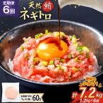 6回 定期便 天然 マグロ ネギトロ まぐろたたき 60g