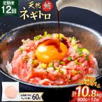 12回 定期便 天然 マグロ ネギトロ まぐろたたき 60g