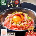 12回 定期便 天然 マグロ ネギトロ まぐろたたき 60g