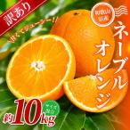 森本農園の手選別 ネーブルオレンジ 約10kg