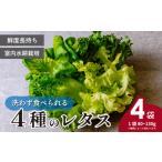 fu.... налог 4 вид. lettuce 4 пакет (80~130g/ пакет ) | lettuce Saitama префектура восток Matsuyama город 