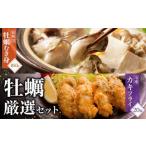 ふるさと納税 産地直送!岡山県ひなせ産冷凍むき身牡蠣と冷凍カキフライの厳選セット 岡山県備前市