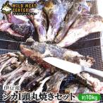 伊豆産シカ肉 シカ肉 ジビエ 高タンパク