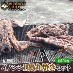 伊豆産イノシシ肉 ジビエ 1頭丸焼き イノシシ肉
