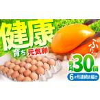 元気卵 30個