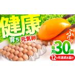 元気卵 30個