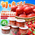 石川農園 愛情ぎゅっと詰め合わせセット