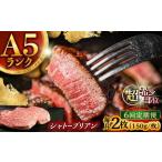長崎和牛 A5 ヒレステーキ 300g
