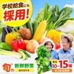 高槻野菜 おまかせ詰め合わせ定期便 10種~15種
