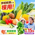 高槻野菜 おまかせ詰め合わせ定期便 10種~15種