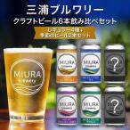 クラフトビール 定番4本と季節のビール 2本飲み比べセット