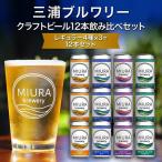 クラフトビール 12本飲み比べセット M110-001-03