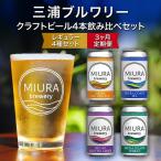 クラフトビール 4本飲み比べセット M110-T01