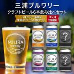 クラフトビール定番4本と季節のビール2本飲み比べセット
