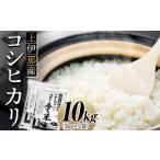 米 コシヒカリ 10kg
