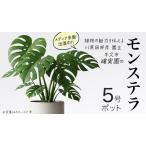 fu.... налог монстера 5 номер pot 1 пункт Ibaraki префектура корова . город 