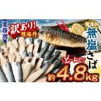 業務用 無添加 無塩さば どーんと 4.8kg