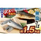 業務用 無添加 無塩さば 1.5kg