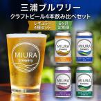 クラフトビール 4本飲み比べセット M110-T04
