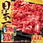 切り落とし 牛肉切り落とし 600g
