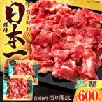 切り落とし 牛肉切り落とし 600g