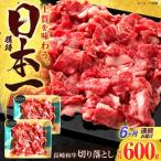 切り落とし 牛肉切り落とし 600g