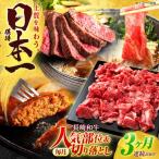 切り落とし 牛肉切り落とし+ 部位 セット