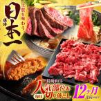 切り落とし 牛肉切り落とし+ 部位 セット