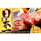 長崎和牛 サーロイン ステーキ 1kg