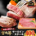 宮崎牛サーロインステーキ 計400g