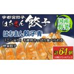 宇都宮餃子 はちまん餃子 青 野菜餃子 64個