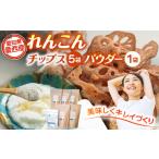 れんこんチップス 3種5袋 れんこんパウダー 1袋
