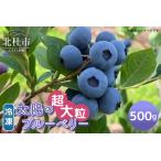 fu.... налог [ супер крупный ] Yamanashi префектура производство ( Akira . производство ) рефрижератор голубика 500g нет пестициды время ограничено ограниченное количество фрукты .. было использовано рефрижератор фрукты свежий сок.. Yamanashi префектура север . город 