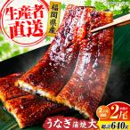 うなぎ 蒲焼 大2尾 VAD034