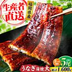 うなぎ 蒲焼 大5尾 800g