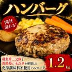 定期便 3回 ハンバーグ 1.2kg