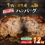 定期便 6回 ハンバーグ 1.2kg