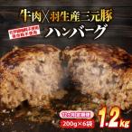 定期便 12回 ハンバーグ 1.2kg