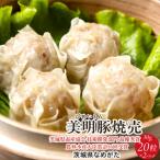 焼売 美明豚 びめいとんのジューシー焼売2パック 30g×20個×…