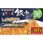 宇都宮餃子 はちまん餃子 しょうが餃子 64個