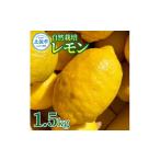 自然栽培レモン 1.5kg
