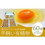60個入