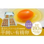 30個入