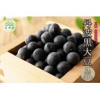 ふるさと納税 丹波黒大豆 2Lサイズ 300g 黒大豆 黒豆 京都府京丹波町