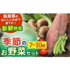 fu.... налог сезон. . овощи комплект (7~10 вид ) местного производства Tottori префектура производство товар установленный срок рейс набор свежий Tottori префектура .. город 