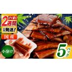 訳あり 鰻蒲焼きカット 約50g×5