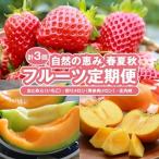 SC0629 自然の恵み 春 夏 秋フルーツ定期便2026